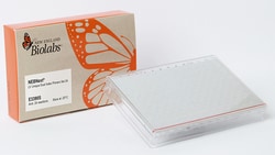 New England Biolabs, Inc.&nbsp;NEBNext LV Unique Dual Index Primers Set 2A - 24 reactions