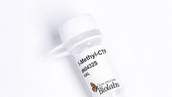 New England Biolabs, Inc. 5-Methyl-Cytidine-5-Triphosphate (5-Methyl-CTP) - 10 umol