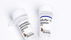 New England Biolabs, Inc. Thermostable EndoQ-1000 units