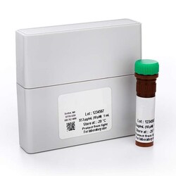 Revvity Health Sciences Inc&nbsp;LANCE <em>Ultra</em>Â ULight CREB Peptide Substrate, 0.125 nmoles