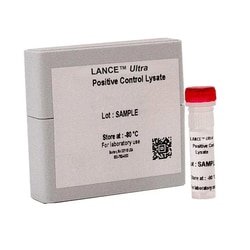 Revvity Health Sciences Inc&nbsp;LANCE <em>Ultra</em> Phospho-SMAD3 (Ser423/425) Lysate
