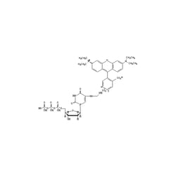 Revvity Health Sciences Inc&nbsp;Lissamine-5-dUTP