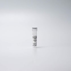 Revvity Health Sciences Inc&nbsp;PhenoVue anti-B3 Tubulin antibody 100X