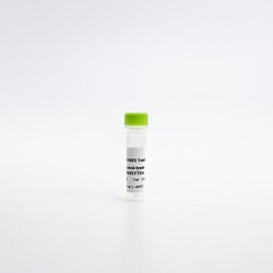 Revvity Health Sciences Inc&nbsp;HTRF Human & Mouse Total NRF2 Detection Kit, Control Lysate