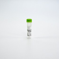 Revvity Health Sciences Inc&nbsp;HTRF Human & Mouse Total RAB10 Detection Kit, Control Lysate