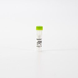 Revvity Health Sciences Inc HTRF Human Total ULK1 Detection Kit, Control Lysate