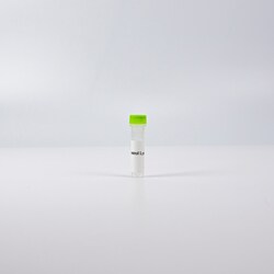 Revvity Health Sciences Inc HTRF Human and Mouse Total RNA Pol II Detection Kit, Control Lysate
