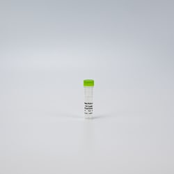 Revvity Health Sciences Inc HTRF Human & Mouse Phospho-PLK1 (Thr210) Detection Kit, Control Lysate