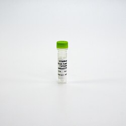Revvity Health Sciences Inc HTRF Human Total H2AX Detection Kit, Control Lysate