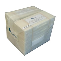 Revvity Health Sciences Inc Cellometer PD300 Slides, case of 500 slides