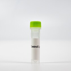 Revvity Health Sciences Inc HTRF Human Total FLT3 Detection Kit, Control Lysate