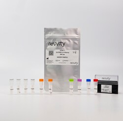 Revvity Health Sciences Inc&nbsp;HTRF Human Phospho-DDR1 (Tyr796) Detection Kit, 500 Assay Points