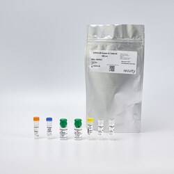 Revvity Health Sciences Inc&nbsp;HTRF Human IL-1&beta; High Performance Detection Kit, 100,000 Assay Points