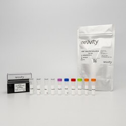 Revvity Health Sciences Inc&nbsp;HTRF Human and Mouse Phospho-RNA Pol II (Ser2) Detection Kit, 50,000 Assay Points