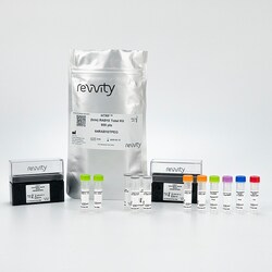 Revvity Health Sciences Inc HTRF Human & Mouse Total RAB10 Detection Kit, 50,000 Assay Points