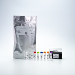 Revvity Health Sciences Inc HTRF Human & Mouse LC3B II Detection Kit, 500 Assay Points