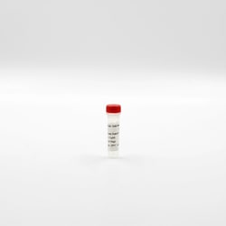 Revvity Health Sciences Inc&nbsp;HTRF Anti histone H3K4 Me2-EuK mAb conjugate, 10,000 Assay Points