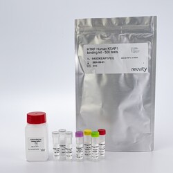 Revvity Health Sciences Inc&nbsp;HTRF Human KEAP1 Binding Kit, 100,000 Assay Points