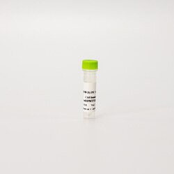 Revvity Health Sciences Inc HTRF Human Total PR Detection Kit, Control Lysate