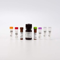 Revvity Health Sciences Inc&nbsp;PhenoVue Multi Organelle Staining Kit 1x384