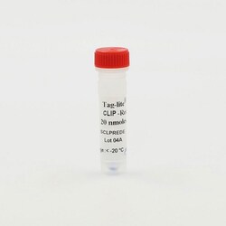 Revvity Health Sciences Inc&nbsp;Tag-lite CLIP-Red Labeling Reagent, 20 nmoles
