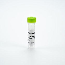 Revvity Health Sciences Inc HTRF Human Total IDO1, Control Lysate
