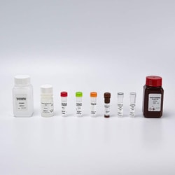 Revvity Health Sciences Inc&nbsp;PhenoVue Neuronal Differentiation Staining Kit 1x384