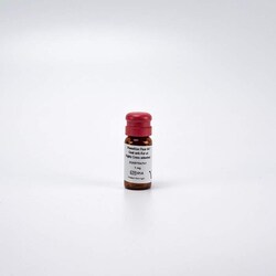 Revvity Health Sciences Inc PhenoVue Fluor 647 - Goat Anti-Rat Antibody