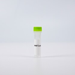 Revvity Health Sciences Inc&nbsp;HTRF Human Total HPK1 Detection Kit, Control Lysate