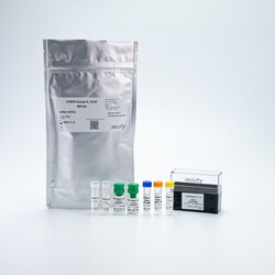 Revvity Health Sciences Inc HTRF Human IL-15 Detection Kit, 10,000 Assay Points