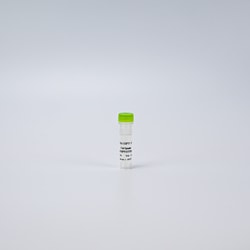 Revvity Health Sciences Inc&nbsp;HTRF Human Total GSPT1 Detection Kit, Control Lysate