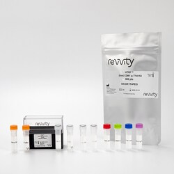 Revvity Health Sciences Inc&nbsp;HTRF Human & Mouse Phospho-CDK1 (Thr14) Detection Kit, 500 Assay Points