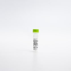 Revvity Health Sciences Inc&nbsp;HTRF Human & Mouse Phospho-TDP-43 (Ser409) Detection Kit, Control Lysate
