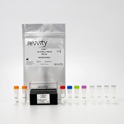 Revvity Health Sciences Inc HTRF Human Phospho-CHK-2 (Thr68) Detection Kit, 50,000 Assay Points
