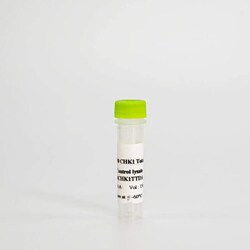 Revvity Health Sciences Inc&nbsp;HTRF Human & Mouse Total CHK-1 Detection Kit, Control Lysate