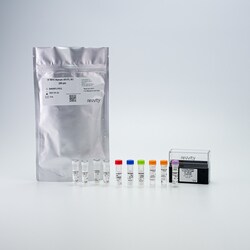 Revvity Health Sciences Inc&nbsp;HTRF Human Androgen Receptor Full Length Detection Kit, 500 Assay Points