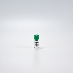 Revvity Health Sciences Inc&nbsp;HTRF Human IL-1&beta; High Performance Detection Kit Standard