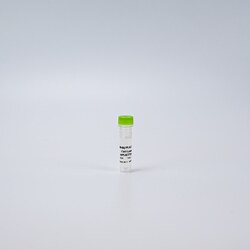 Revvity Health Sciences Inc&nbsp;HTRF Human Total PLK1 Detection Kit, Control Lysate