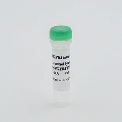 Revvity Health Sciences Inc HTRF Human Total FGFR4 Detection Kit, Control Lysate
