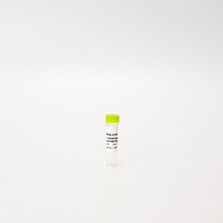 Revvity Health Sciences Inc HTRF Human Total ATM Detection Kit, Control Lysate