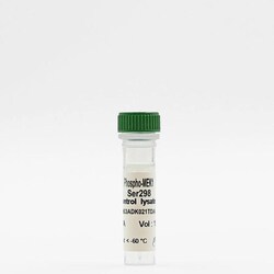 Revvity Health Sciences Inc&nbsp;HTRF Human Phospho-MEK1 (Ser298) Detection Kit, Control Lysate