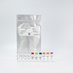 Revvity Health Sciences Inc HTRF Human & Mouse Total p300 Detection Kit, 10,000 Assay Points