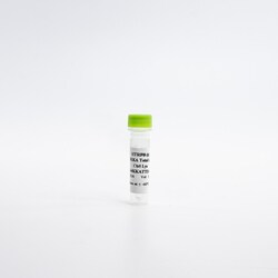 Revvity Health Sciences Inc HTRF Human Total IκKα Detection Kit, Control Lysate