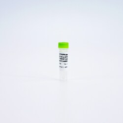 Revvity Health Sciences Inc&nbsp;HTRF Human & Mouse Phospho-ATG16L1 (Ser278) Detection Kit, Control Lysate