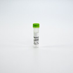 Revvity Health Sciences Inc&nbsp;HTRF Human & Mouse Phospho-RAB10 (Thr73) Detection Kit, Control Lysate