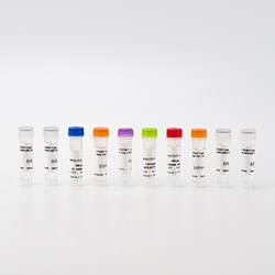 Revvity Health Sciences Inc HTRF Human Total ULK1 Detection Kit, 50,000 Assay Points