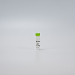 Revvity Health Sciences Inc&nbsp;HTRF Human KEAP1 Binding Kit Standard