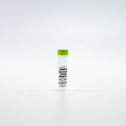 Revvity Health Sciences Inc&nbsp;HTRF Human Total PINK4 Lysate