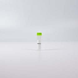 Revvity Health Sciences Inc&nbsp;HTRF Human Total SALL4 Detection Kit, Control Lysate