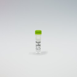 Revvity Health Sciences Inc&nbsp;HTRF AAV8 Detection Kit Standard